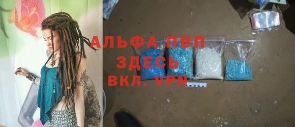 индика Алзамай