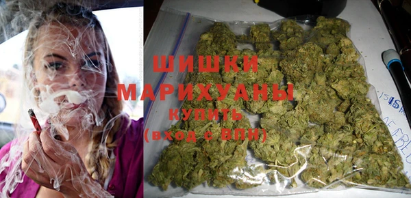 индика Алзамай