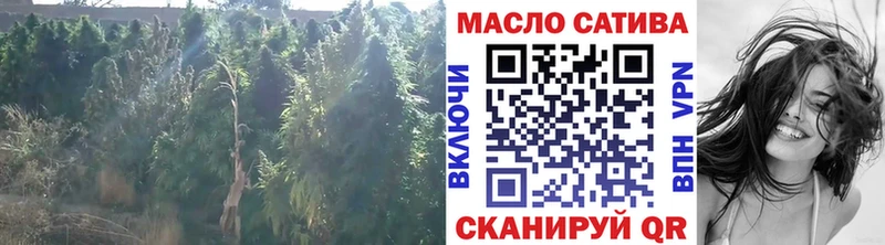 ТГК гашишное масло  купить  цена  Александров 