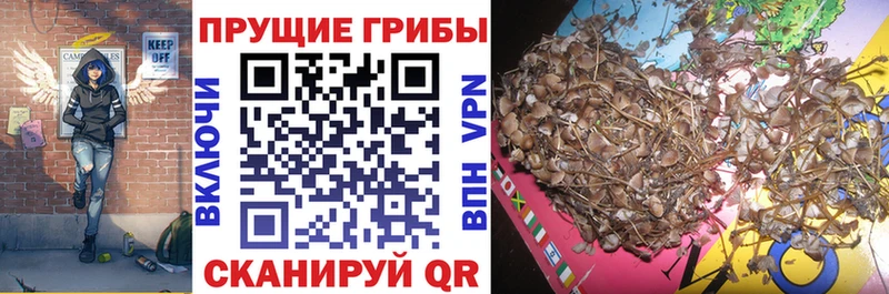 Галлюциногенные грибы мухоморы  Александров 